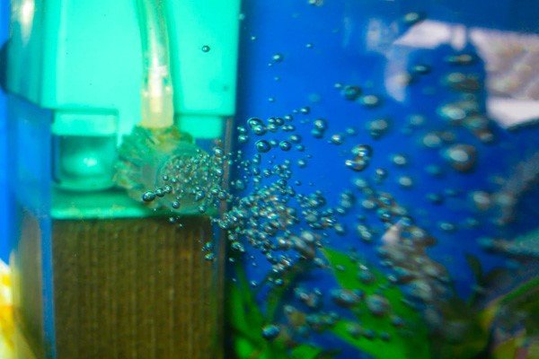 Máy bơm không khí chạy bằng pin là giải pháp dự phòng oxy hiệu quả khi mất điện