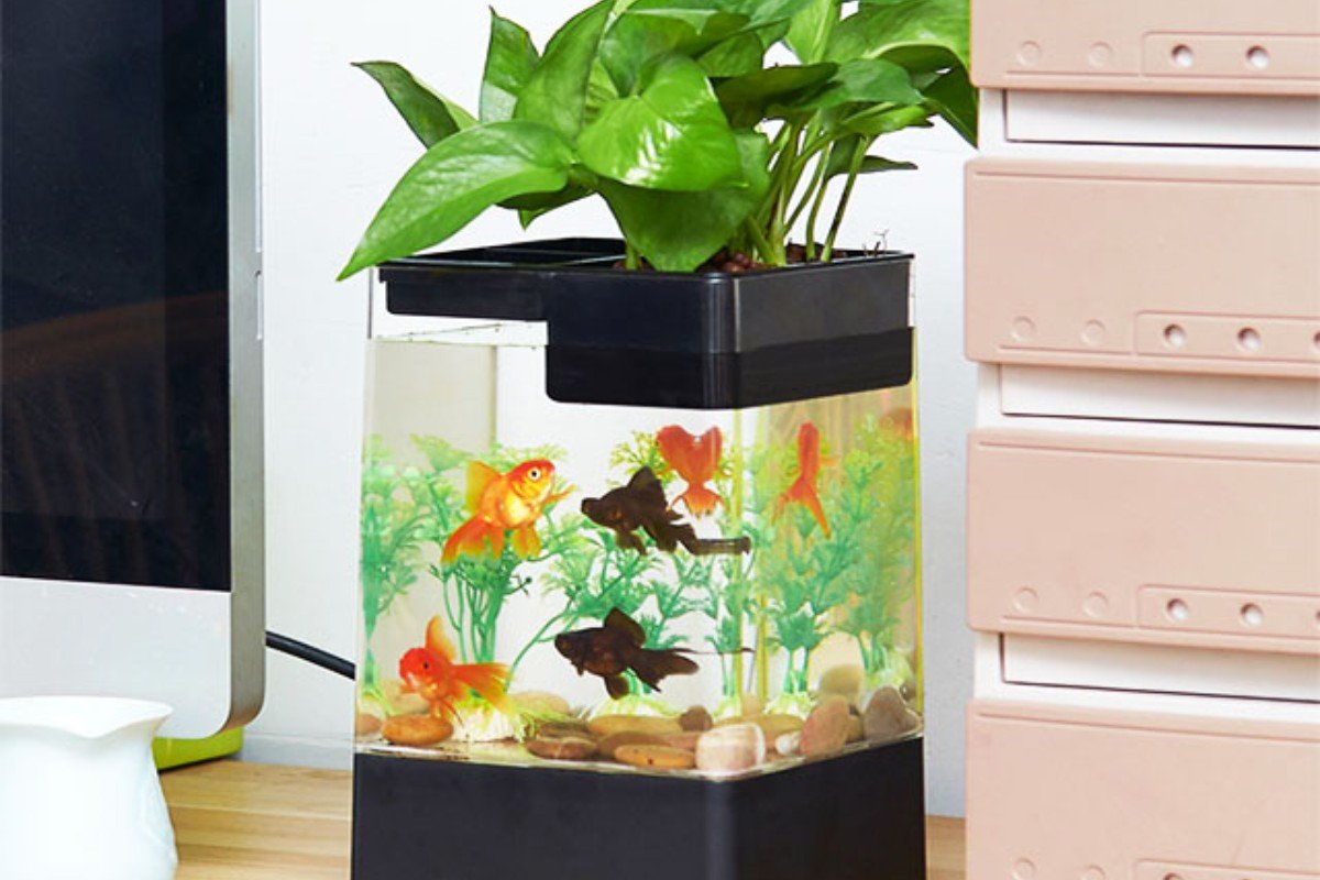 Mô hình bể cá mini đúc thủy sinh chất lượng cao