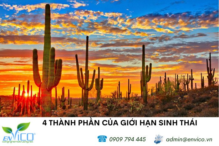 Mô tả về giới hạn sinh thái quyết định khả năng tồn tại của sinh vật