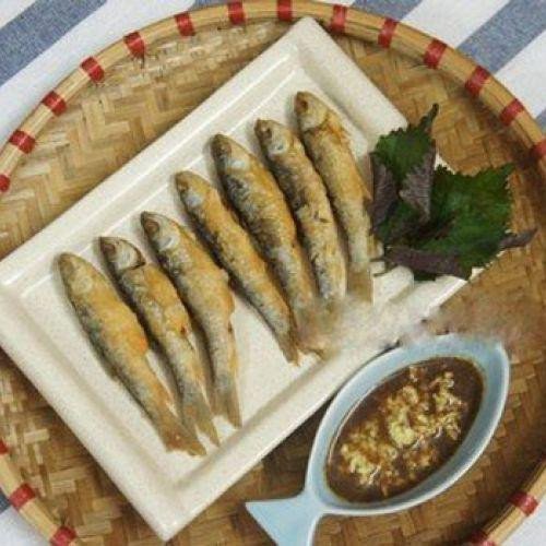 Cá Chày Là Cá Gì Và Có Đặc Điểm Như Thế Nào