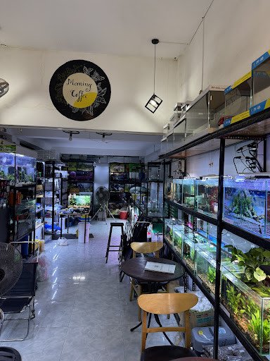 Một dãy hồ cá cảnh được bố trí khoa học tại cửa hàng