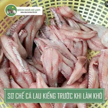 Nguyên liệu chính làm khô cá lau kiếng là những con cá dọn bể tươi ngon