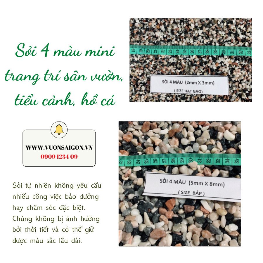 Nhiều loại sỏi 4 màu mini trang trí với kích thước khác nhau trong một chậu cây cảnh