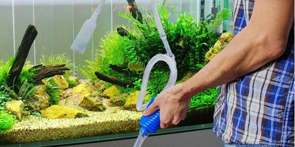 Quá trình chuẩn bị các dụng cụ cần thiết để thực hiện cách thay nước bể cá cảnh