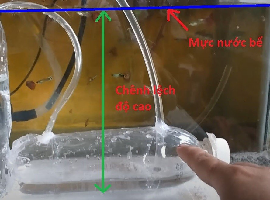 Quá trình vận hành bơm nước hồ cá không cần điện