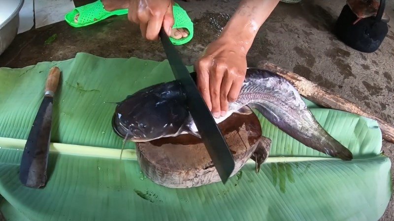 Sơ chế cá nheo để loại bỏ nhớt