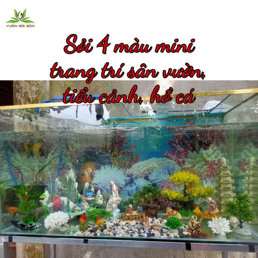 Sỏi 4 màu mini trang trí tạo điểm nhấn đa sắc trong hồ cá hoặc tiểu cảnh