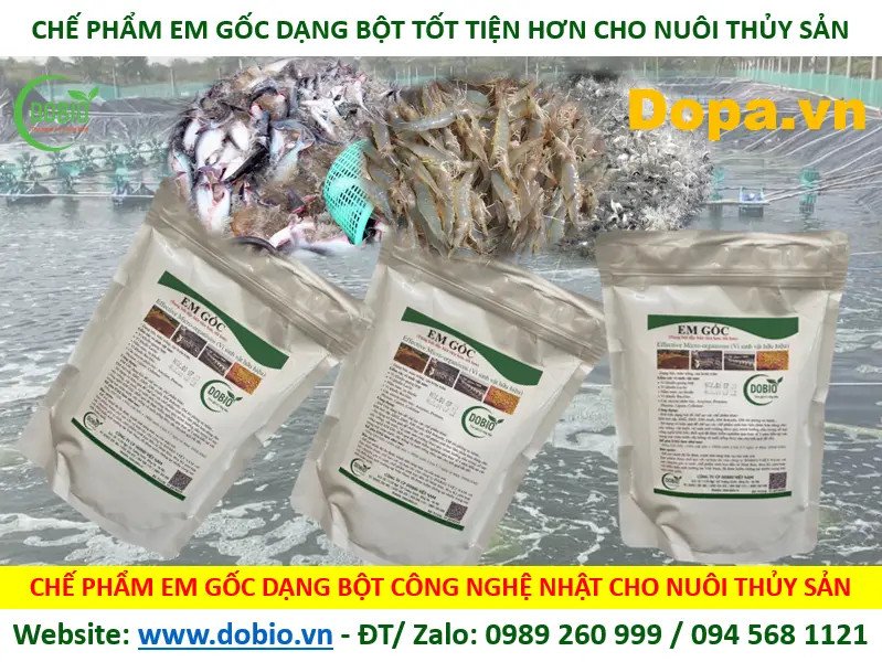Tác dụng làm sạch môi trường nước của Chế phẩm EM Gốc cho nuôi trồng thủy sản