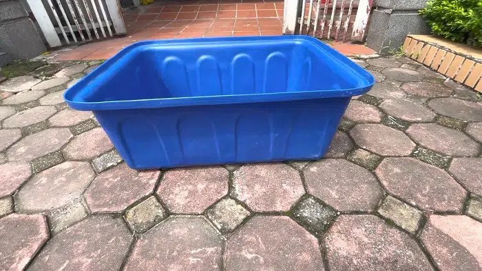 Tank nhựa nuôi cá 100L với thiết kế miệng rộng, đáy nhỏ