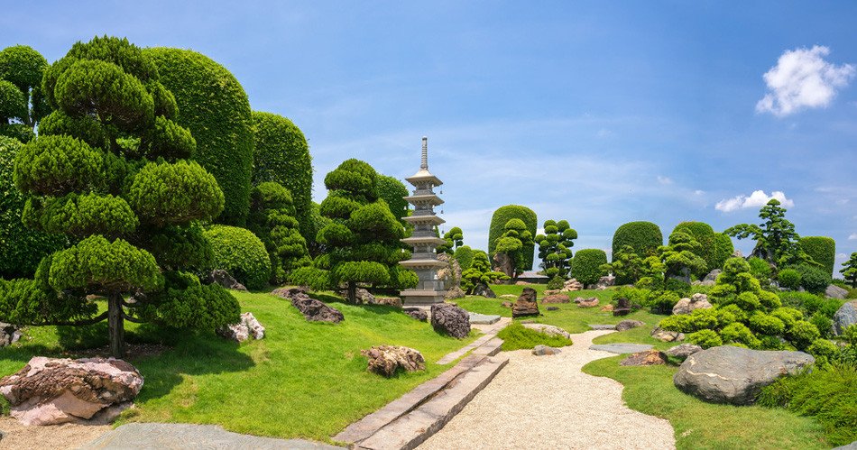 Thảm thực vật và các cây bonsai quý hiếm được cắt tỉa gọn gàng tại Công viên Cá Koi RinRin Park