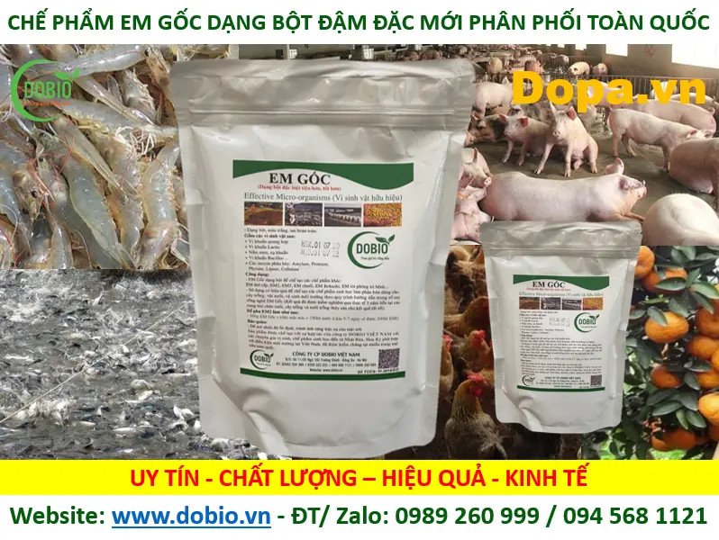 Thành phần vi sinh vật hữu hiệu trong Chế phẩm EM Gốc dạng bột