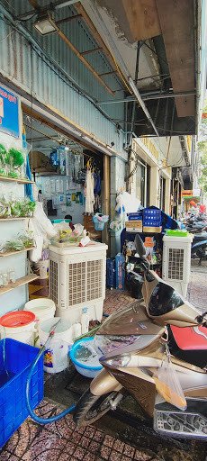 Thiết bị lọc và máy bơm nước chuyên dụng cho bể cá cảnh Quận 5