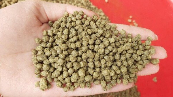 Thức ăn viên nổi chuyên dụng cho cá vàng mắt lồi