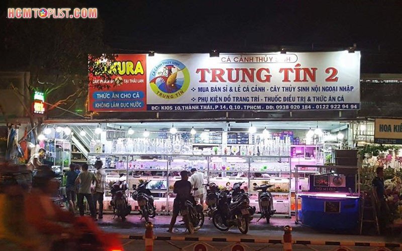 Tiệm cá cảnh Trung Tín cung cấp lũa trang trí hồ cá chất lượng