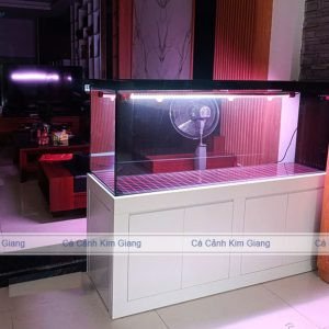 Toàn cảnh bộ bể cá cảnh công nghệ mới siêu trong kích thước lớn