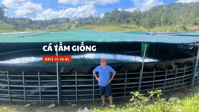 Trại ương nuôi giống cá tầm đạt tiêu chuẩn chất lượng