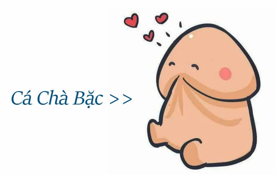 cá chà bạch là gì