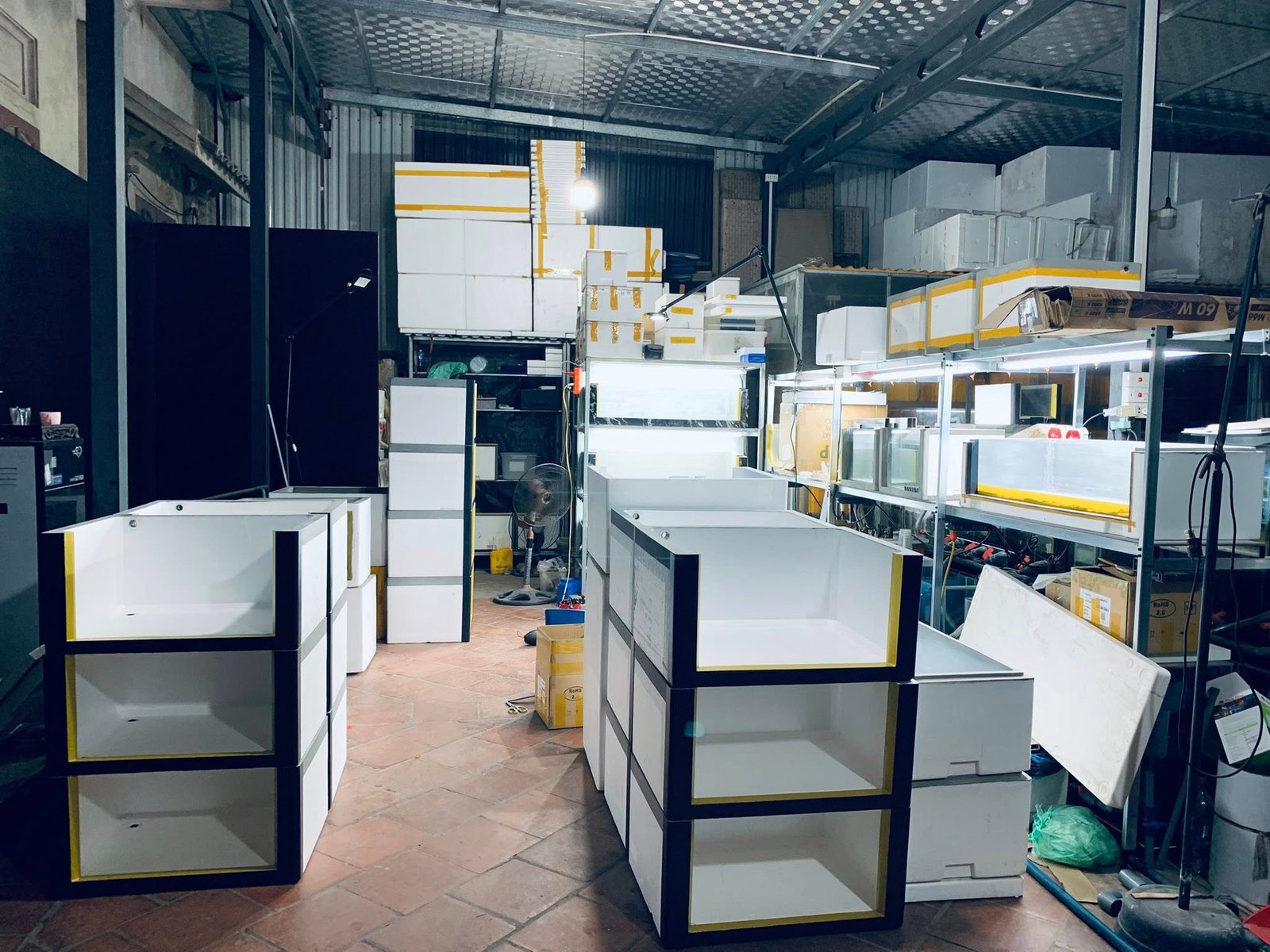 Nuôi cá trong thùng xốp tại nhà với mô hình đơn giản tiết kiệm chi phí