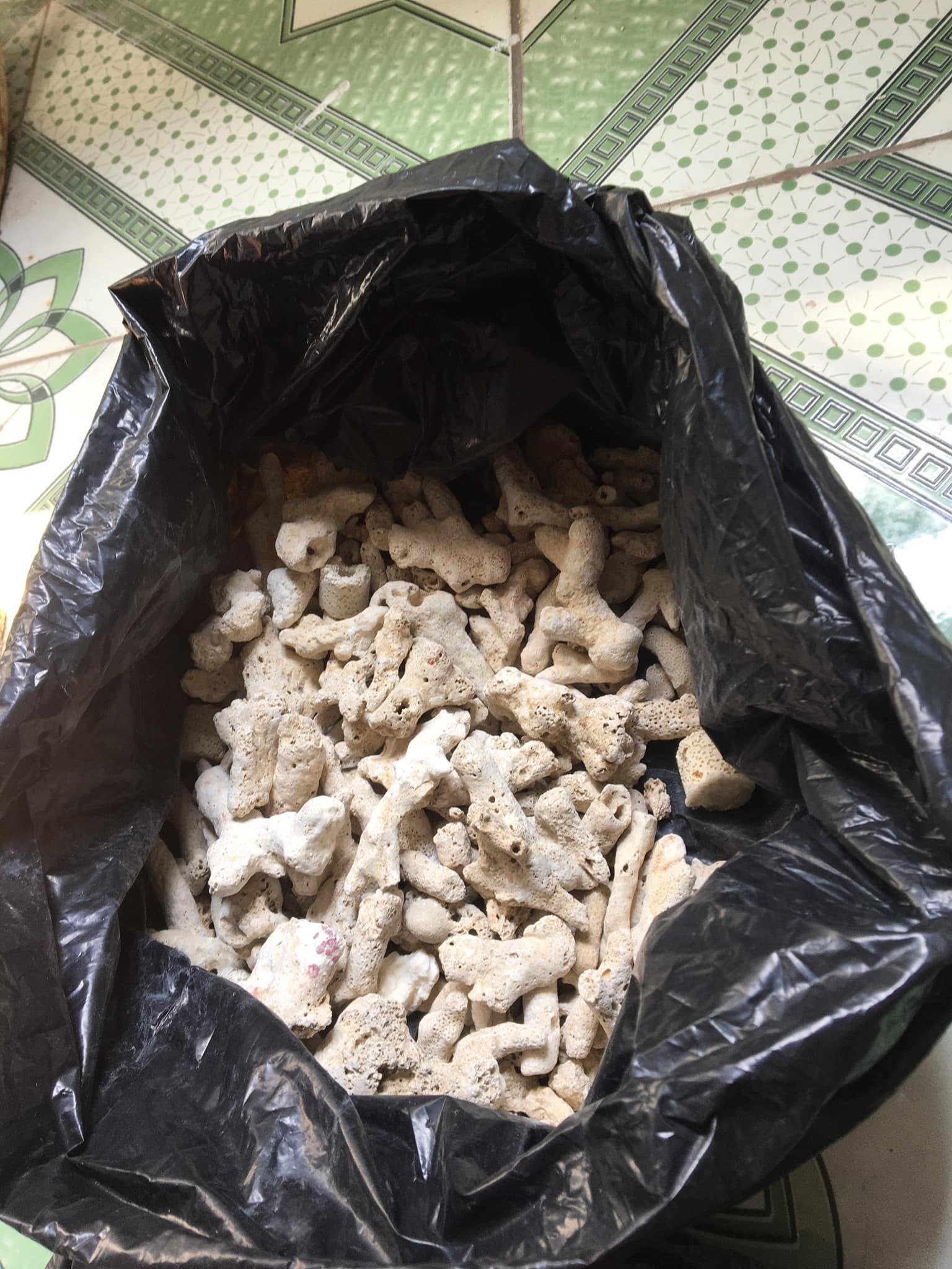 Cách sắp xếp vật liệu lọc bể cá cho người mới bắt đầu