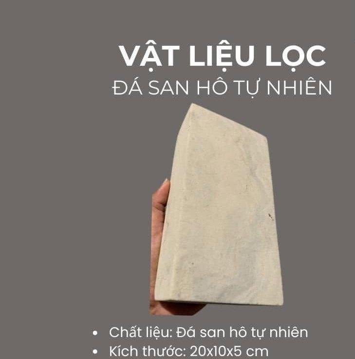 Cách sắp xếp vật liệu lọc bể cá và những lưu ý quan trọng