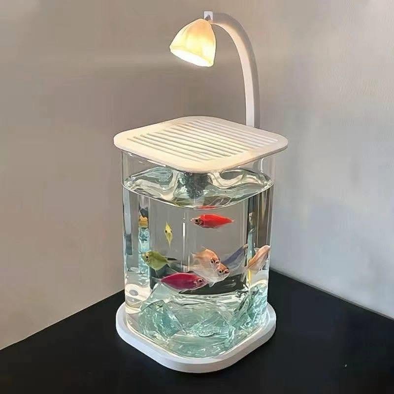 Cách cứu cá betta sắp chết trong vài bước cơ bản