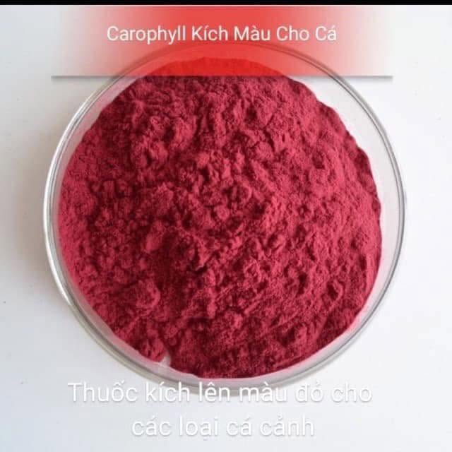 Thuốc kích màu cá sử dụng thế nào để đạt hiệu quả cao