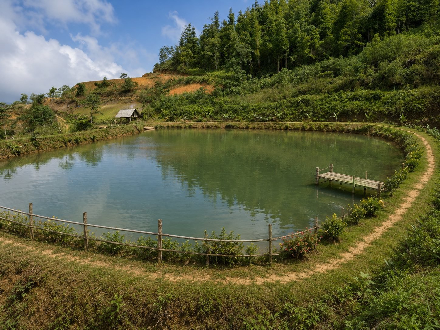 Hình ảnh đào ao nuôi cá tại nhà với thiết kế phù hợp cho nhiều mô hình chăn nuôi thủy sản