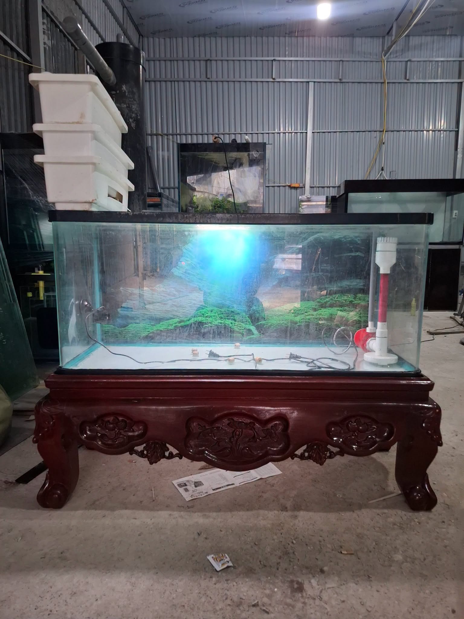 Một bể cá hình hộp chữ nhật có chiều dài phù hợp nuôi cá