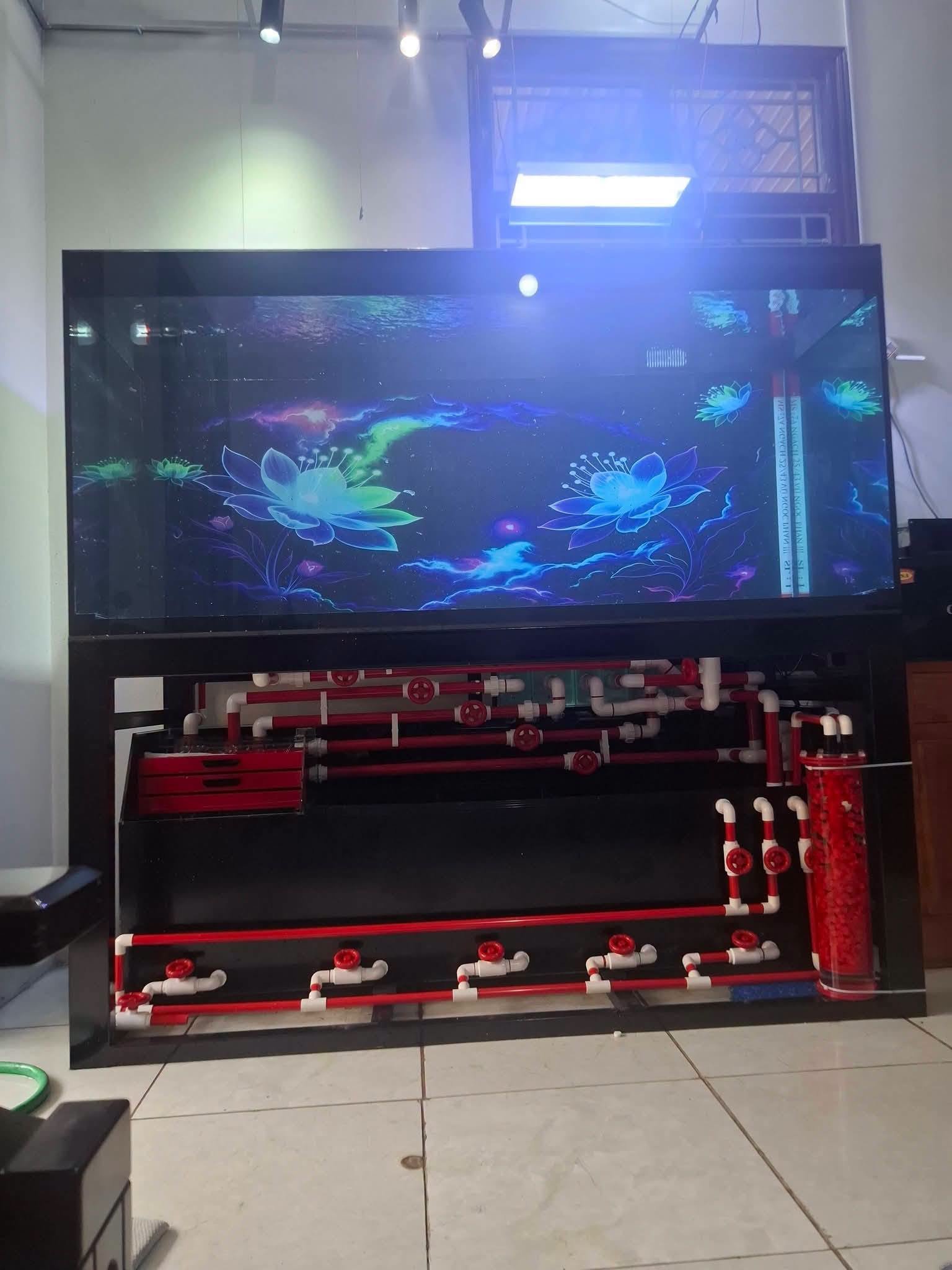 Một bể cá hình hộp chữ nhật có chiều dài và thể tích