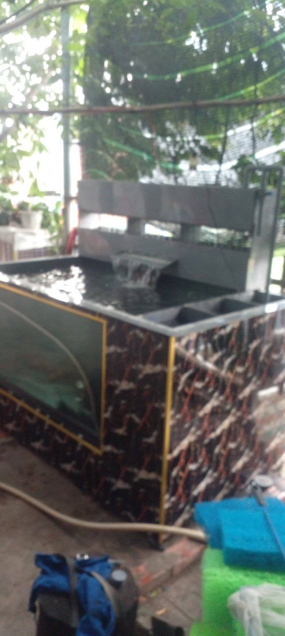 Cách tính m3 hồ cá đơn giản cho người mới nuôi cá cảnh