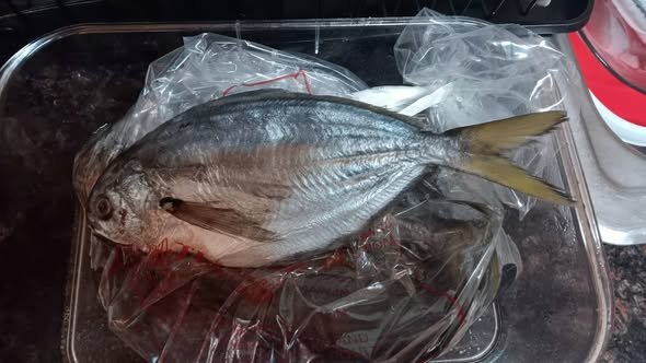 Butterfish là cá gì và giá trị trong ẩm thực biển