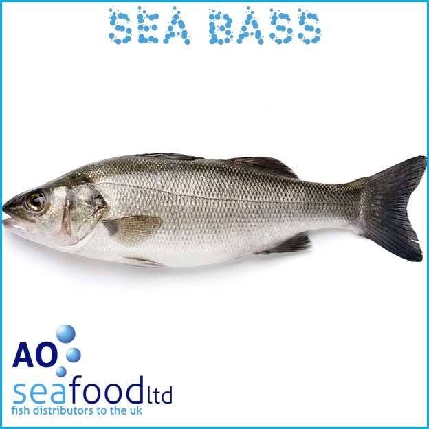 Seabass là cá gì trong ẩm thực và đời sống hiện đại