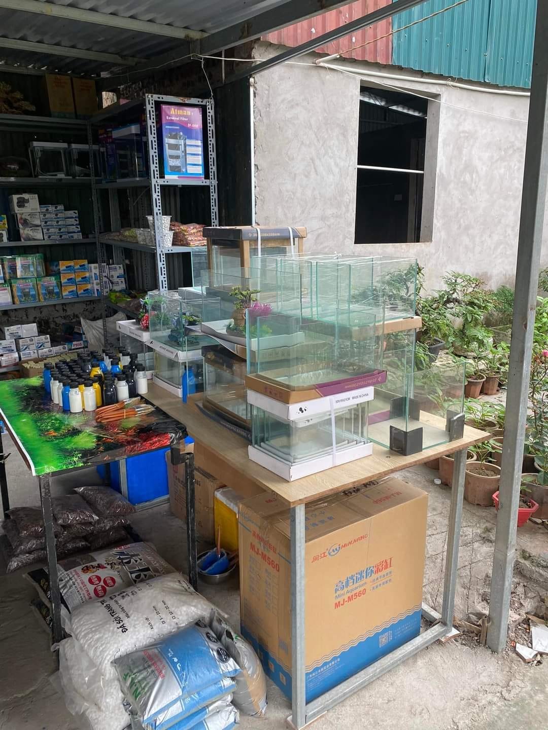 cửa hàng cá cảnh tại khu vực Mỹ Đình Hà Nội