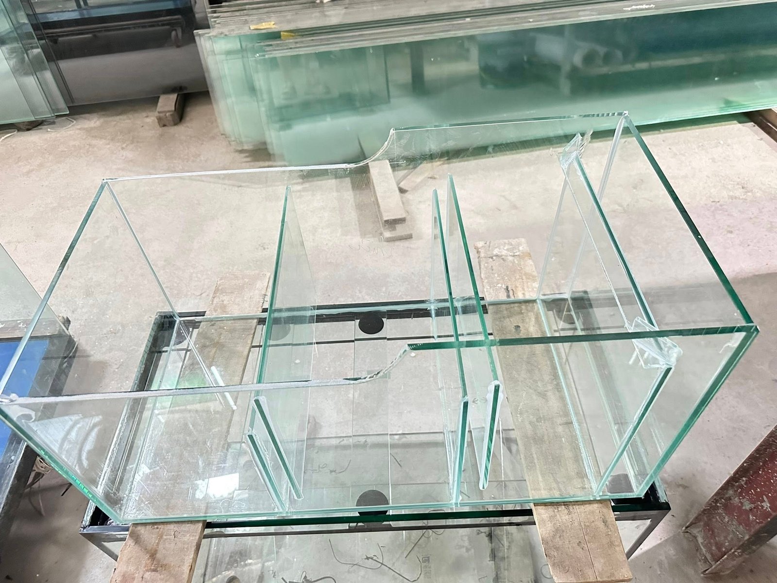 Những Shop Bán Cá Cảnh Được Nhiều Người Tin Chọn Những mẫu cá nổi bật tại shop bán cá cảnh uy tín và chất lượng