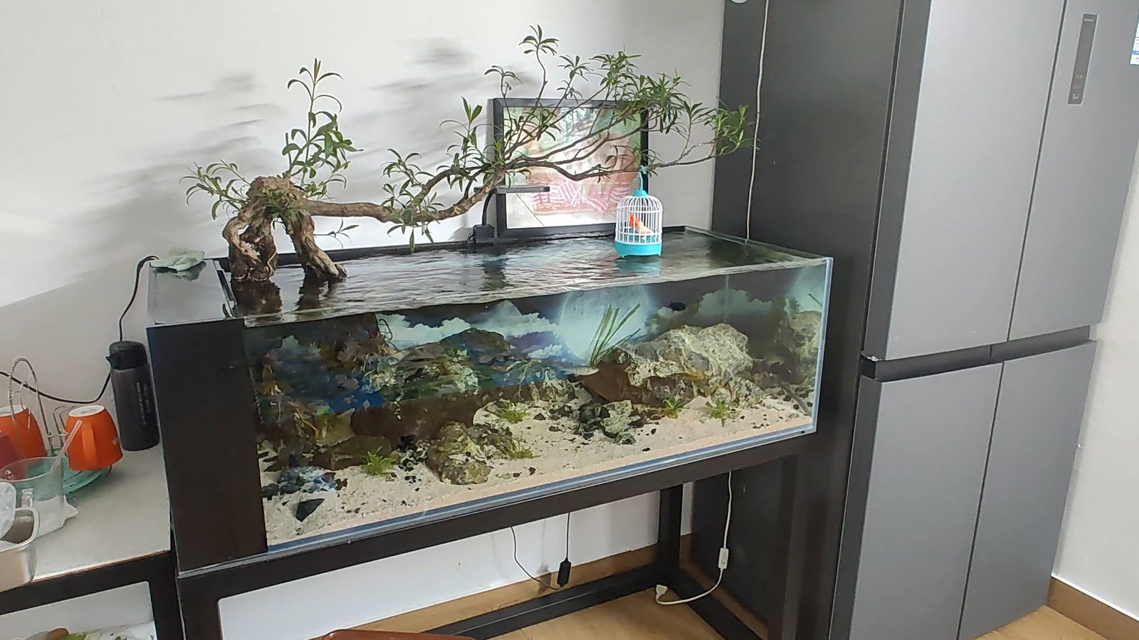Cách xếp đá trong bể cá đẹp tự nhiên và hài hòa nhất Mẫu cách xếp đá trong bể cá thủy sinh đẹp mắt hiện nay