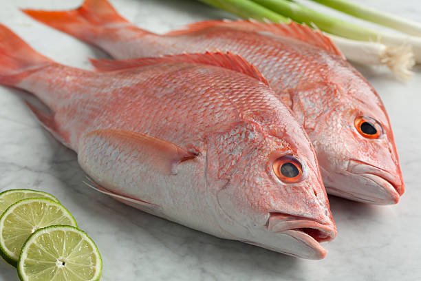 Cá biển màu hồng nổi bật giữa rạn san hô tự nhiên