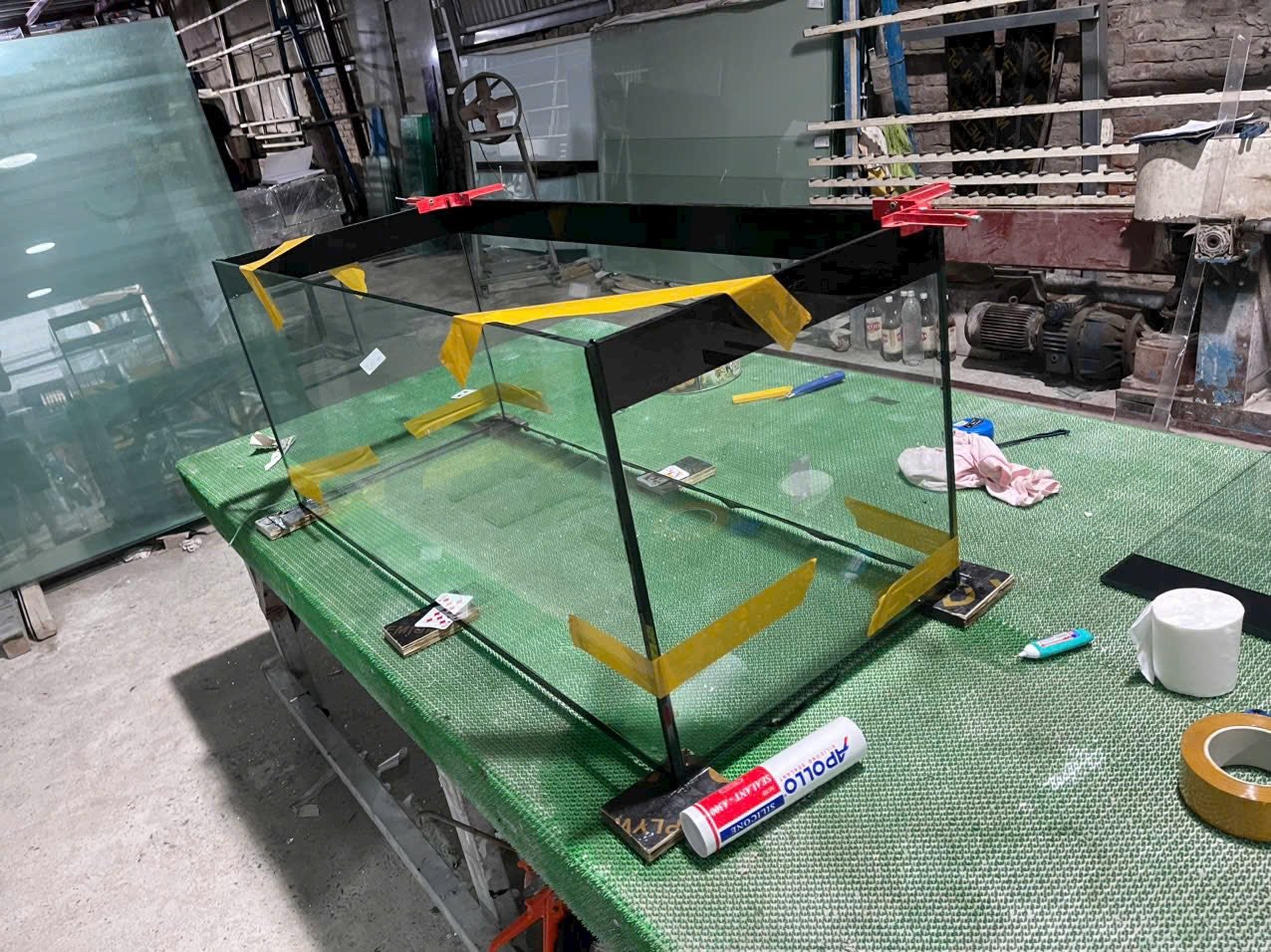 Những Shop Bán Cá Cảnh Được Nhiều Người Tin Chọn Shop bán cá cảnh với nhiều dòng cá đẹp cho người mới chơi