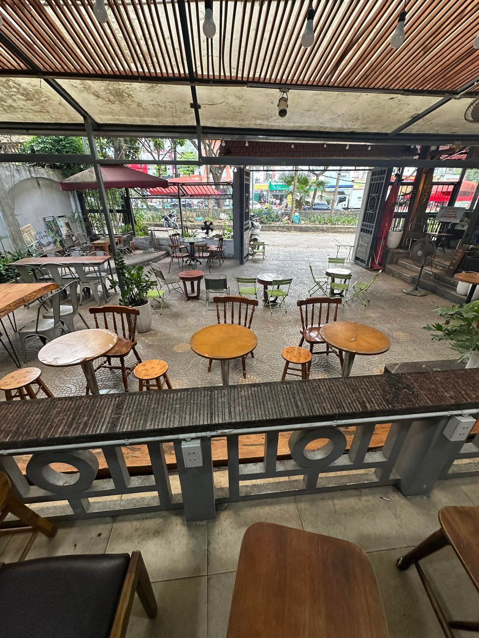 Khách hàng thư giãn tại quán cafe cá cảnh Hà Nội ngắm nhiều loài cá độc đáo