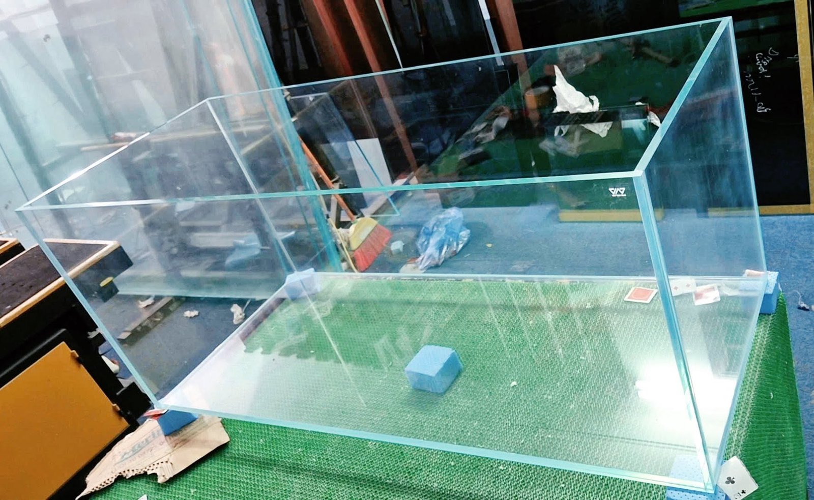 Mẫu bể kính nuôi cá đẹp với mức giá phù hợp cho người mới chơi