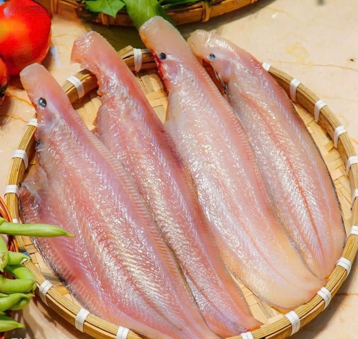 Cá Lưỡi Trâu Biển: Đặc Điểm Và Môi Trường Sống Tự Nhiên Cá lưỡi trâu biển với hình dáng dẹt đặc trưng dễ nhận biết
