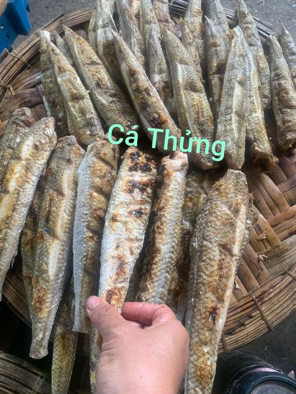 Cá thửng Nghệ An làm món gì ngon cho bữa cơm gia đình