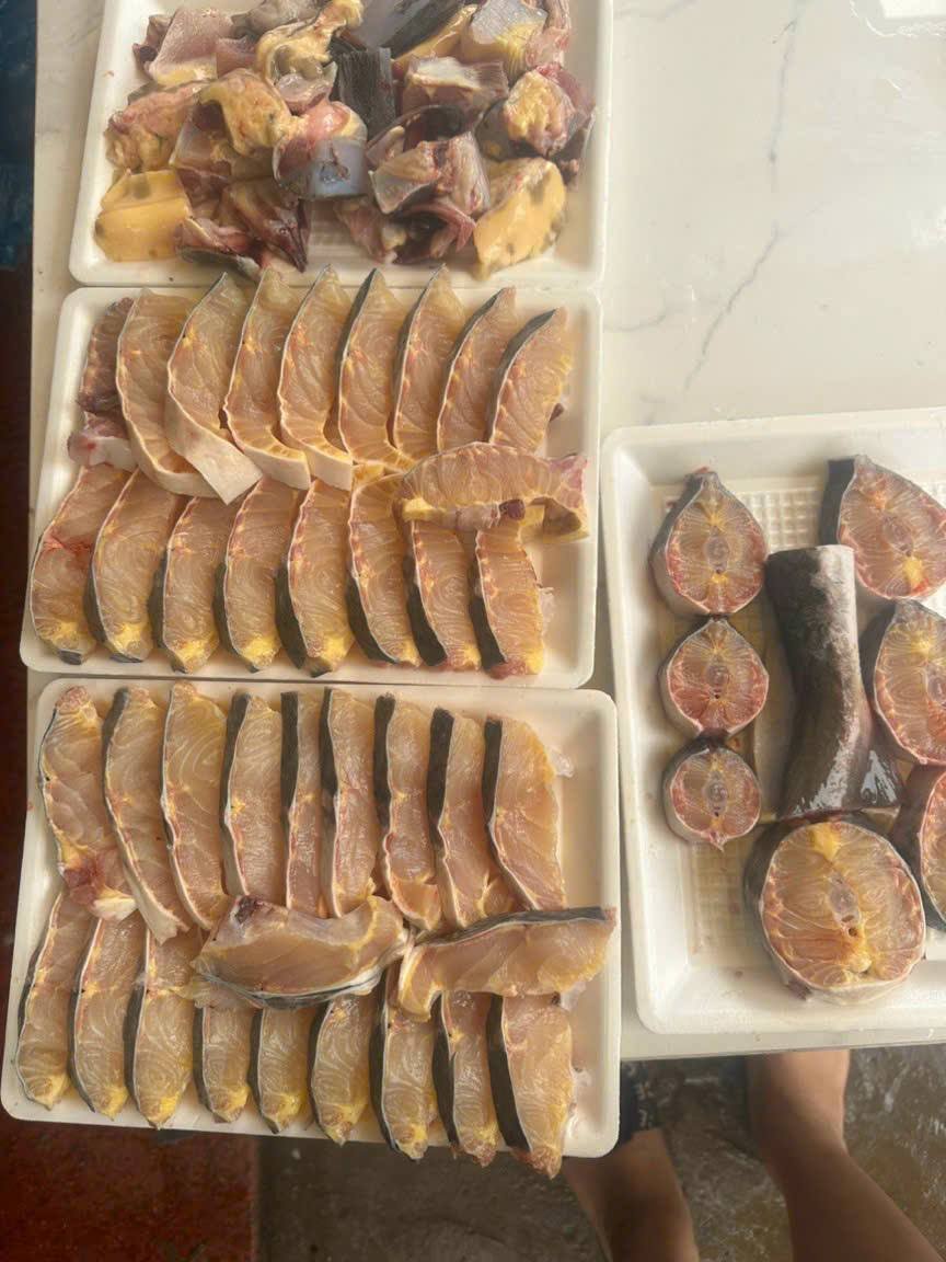 Các loài cá xương sụn sống ở đâu Có gì đặc biệt