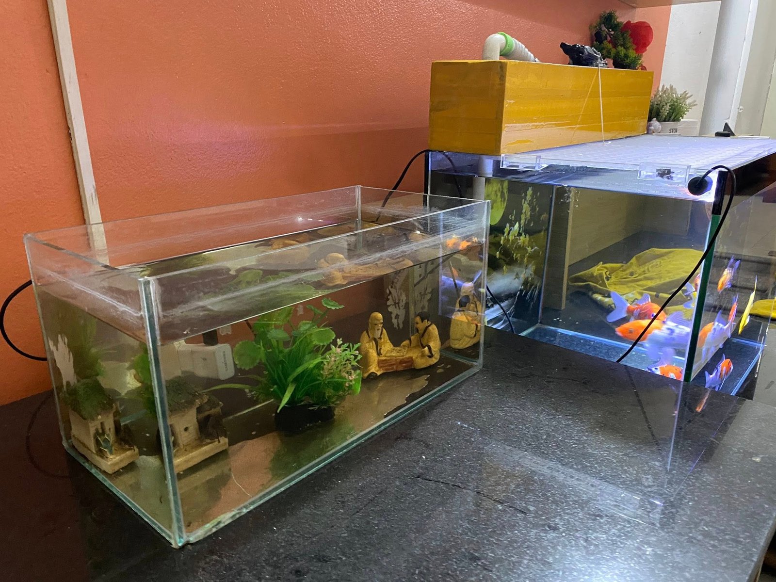Cách chọn kính làm bể cá bền đẹp tránh nứt vỡ nguy hiểm