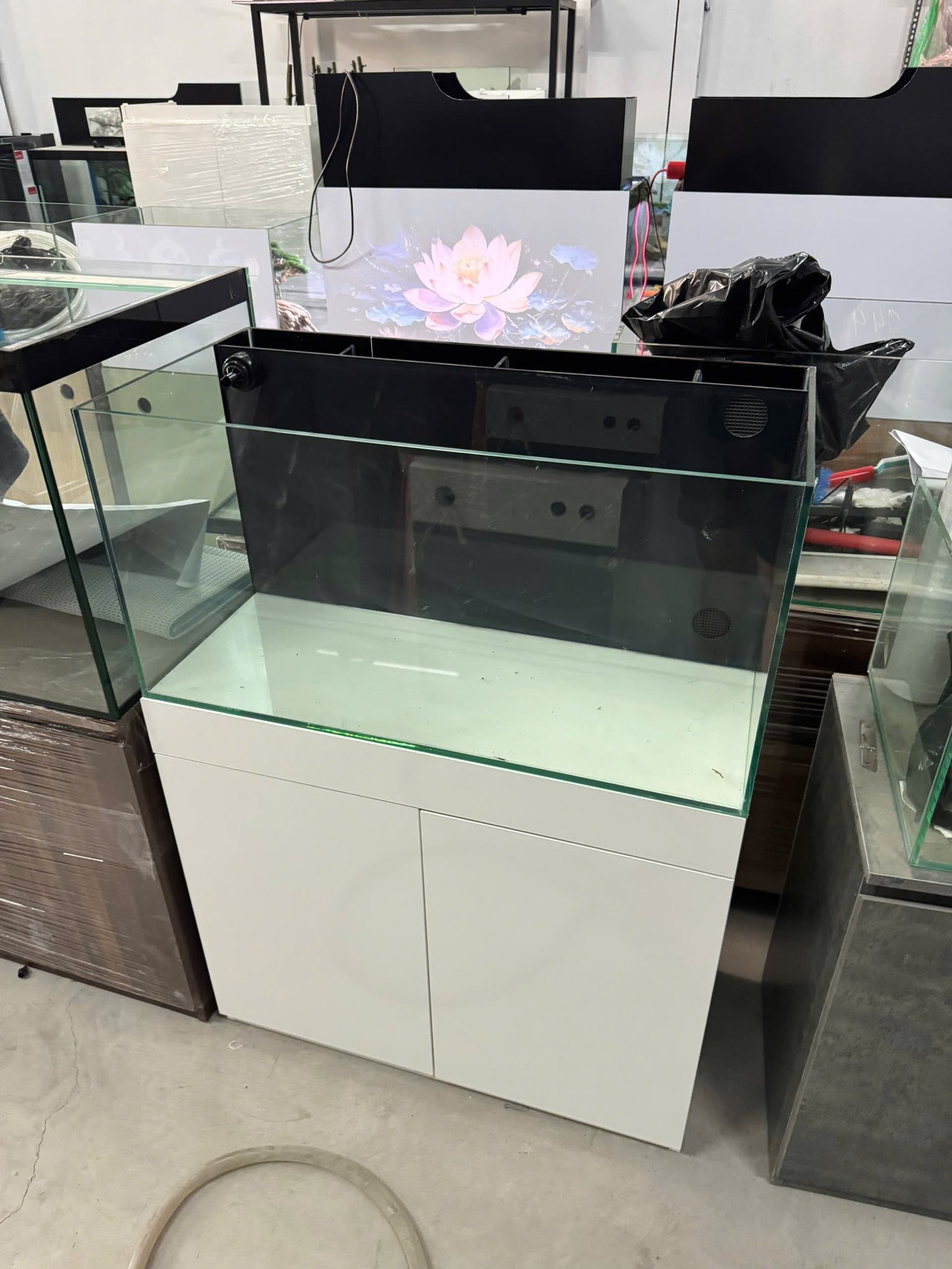 Báo giá bể cá kính cường lực bao nhiêu? Xem ngay chi tiết Cập nhật báo giá bể cá kính cường lực chuẩn nhất hiện nay