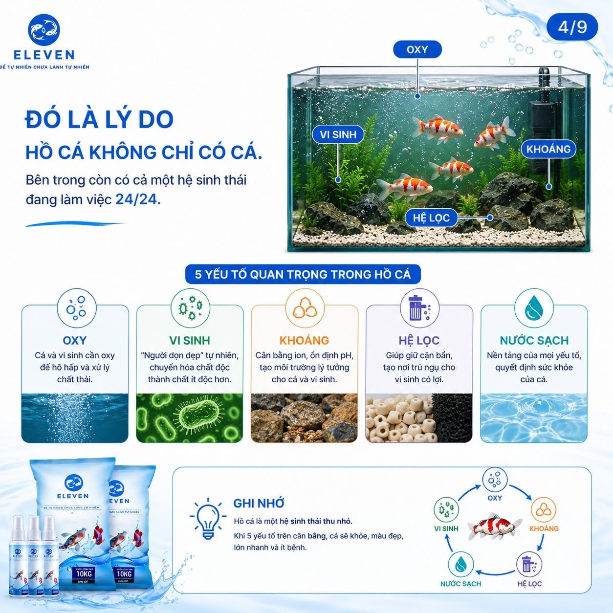 Hướng dẫn đo TDS cho hồ cá chính xác dành cho người mới