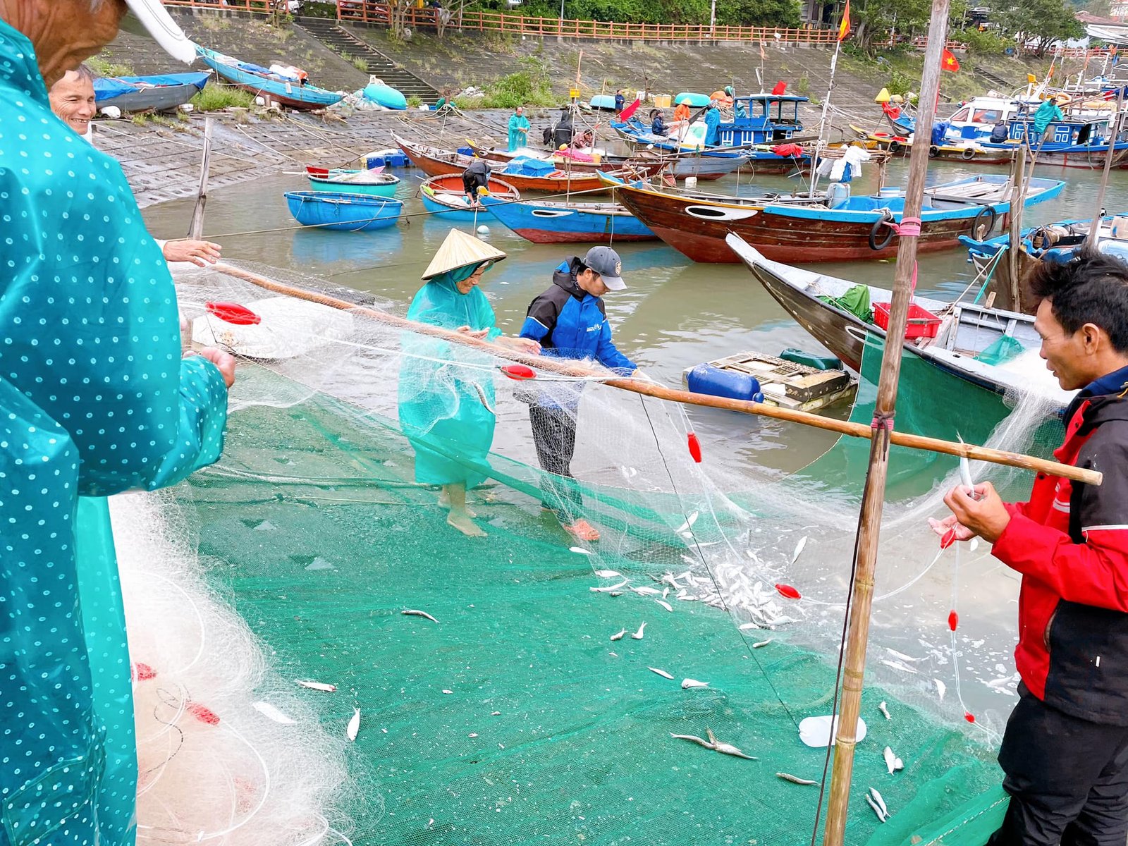 Nuôi cá gì nhanh thu hoạch trong thời gian ngắn nhất