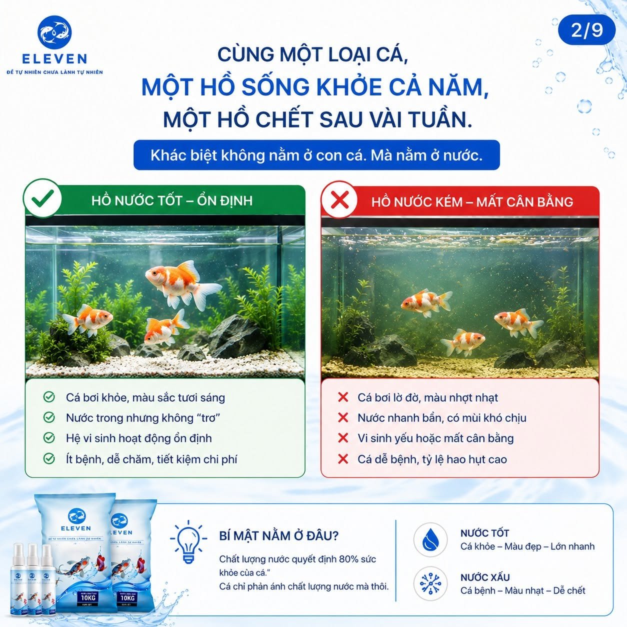 TDS cho hồ cá là gì và cách kiểm soát hiệu quả tại nhà