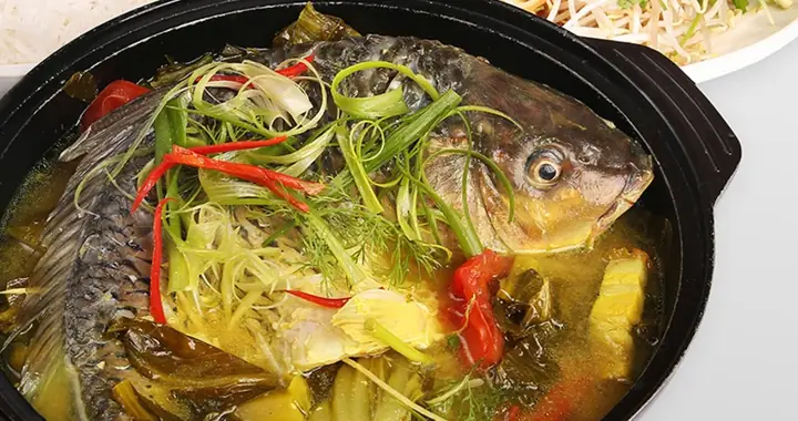 Bức Ảnh Cá Chép Tinh Tế Nhất