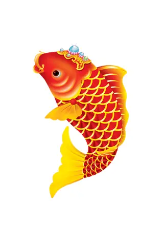 Bức Ảnh Cá Chép Tinh Tế Nhất