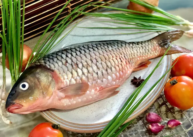 Bức Ảnh Cá Chép Tinh Tế Nhất